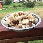Klimatyczny Drewniany W Gorach *