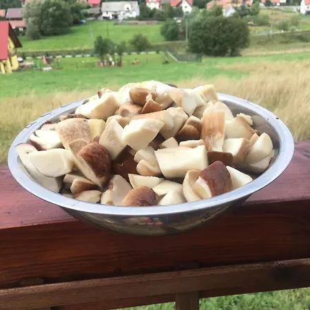 Klimatyczny Drewniany W Gorach *